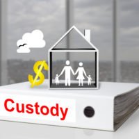 Child Custody Case